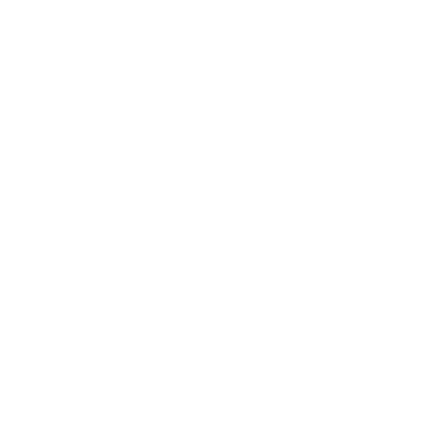 Motion_ikon